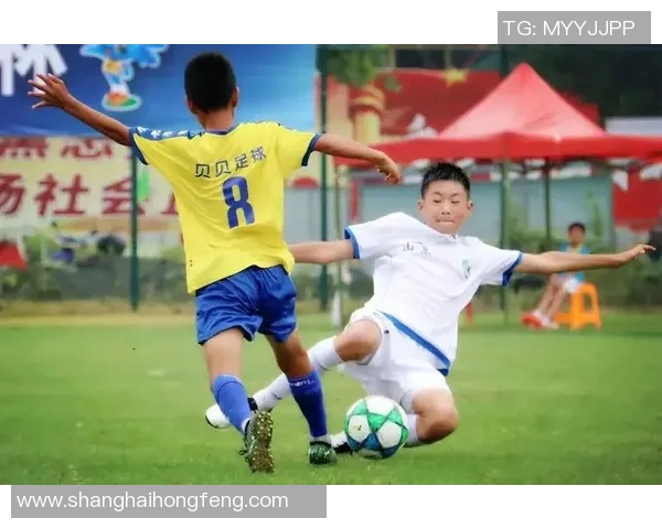 2017贝贝杯少儿足球赛精彩回顾与成长之路展望 2017贝贝杯少儿足球赛精彩回顾与成长之路展望