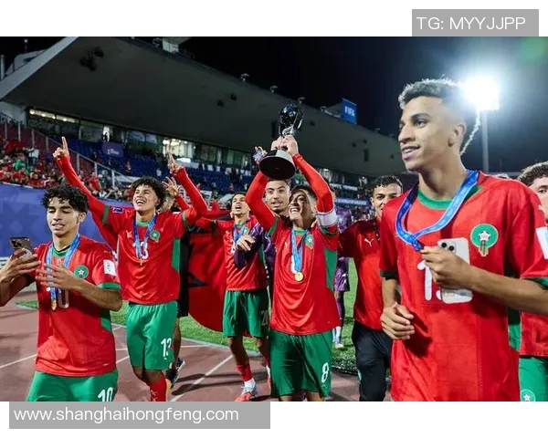 2017年世界杯足球排名分析及各国球队表现总结